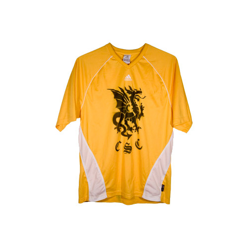 CHINATOWN SOCCER CLUB
